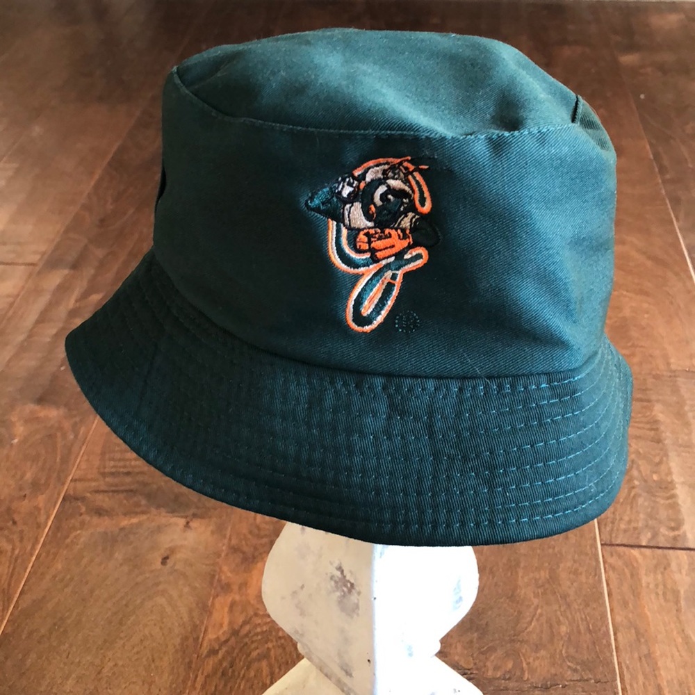 ⭐️BOGO⭐️GreensboroGrasshoppers Hat